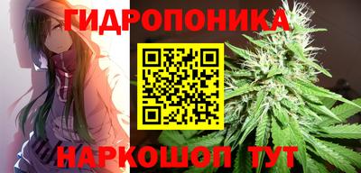 мет Кингисепп