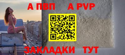 мет Кингисепп